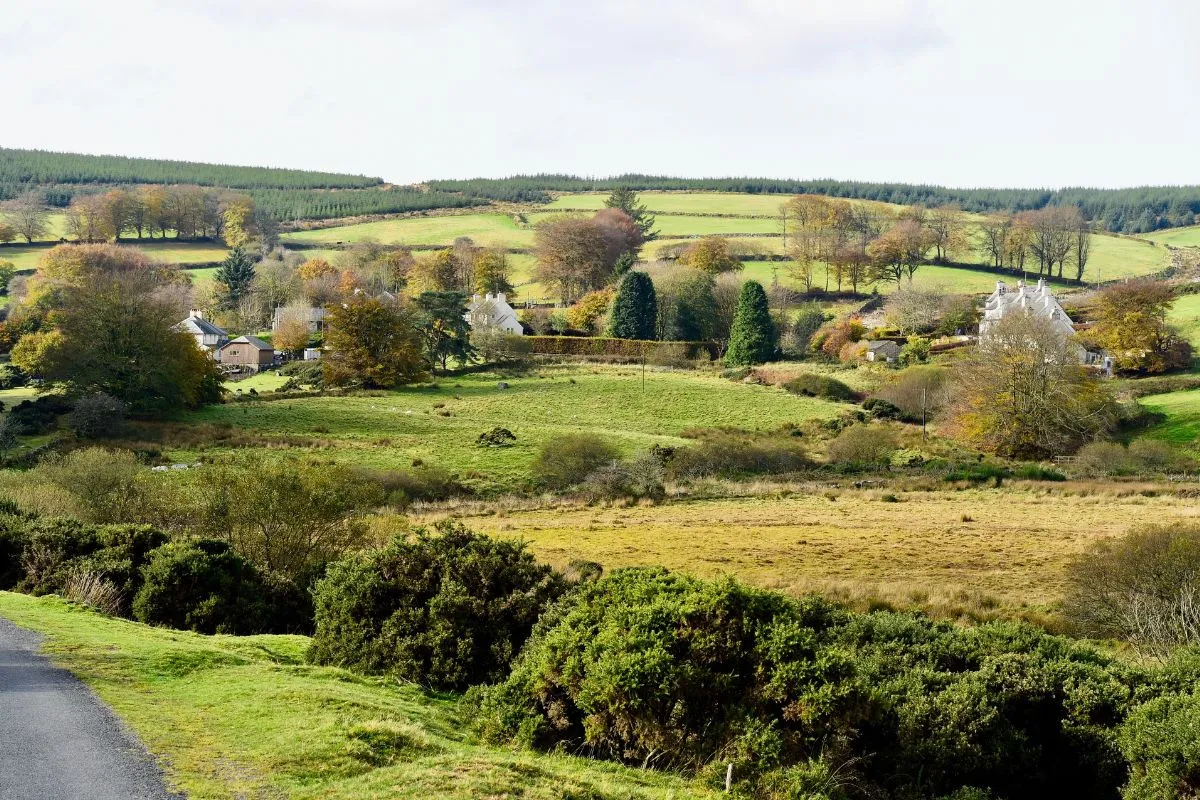 Weite Moorlandschaft im Dartmoor National Park mit Felsen am Horizont