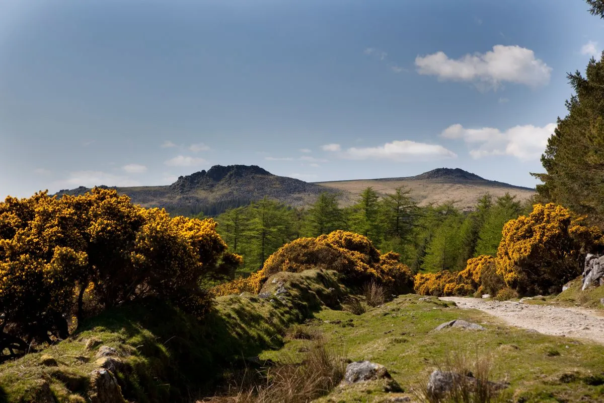 Weite Moorlandschaft im Dartmoor National Park in Devon