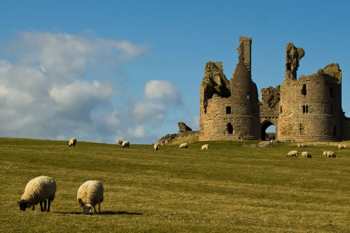 Dunstanburgh Castle in Northumberland