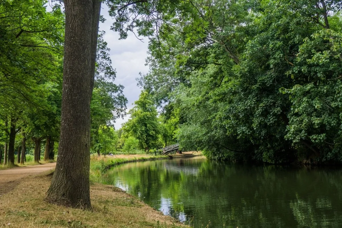 Punting auf dem Cherwell in Oxford