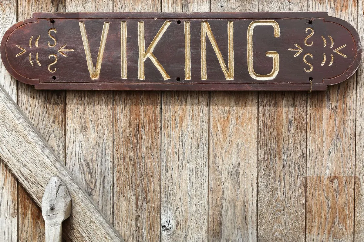 Jorvik Viking Centre in York
